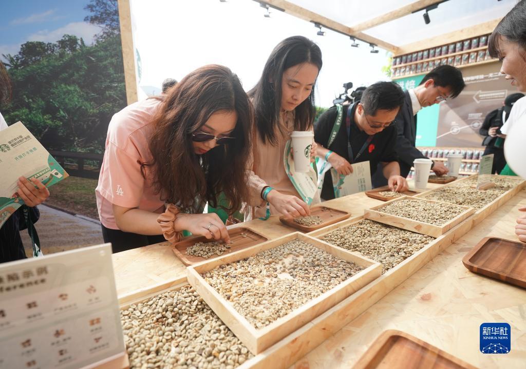 天狮大中华卓越卡登录
